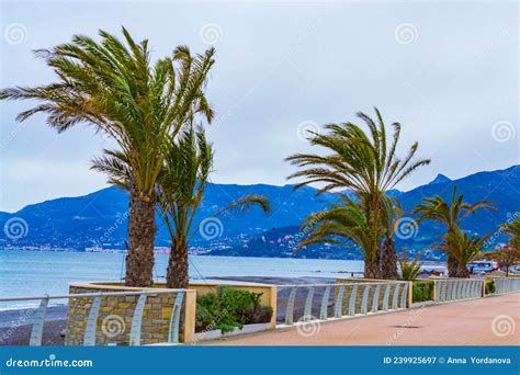 Coastal Promenade Bordighera Beach Liguria Italy Editorial Photography - Image of maritime ...