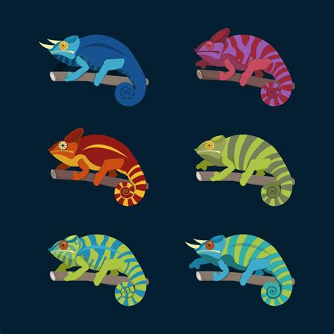 Colorful Chameleon Collection Vector Illustration 173064 Vector Art at Vecteezy