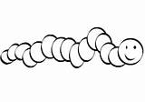 Inchworm Coloring Page sketch template