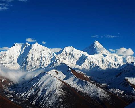 2024白马雪山观景台门票,德钦白马雪山观景台游玩攻略,白马雪山观景台游览攻略路线/地址/门票价格-【去哪儿攻略】