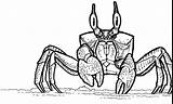 Ghost Crab Drawing sketch template