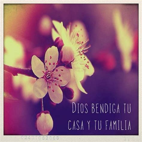 Dios bendiga tu casa y tu familia | Dios te bendiga, Saludos de buenos dias, Dios