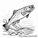 Brook Trout Coloring Pages  Free & Printable sketch template