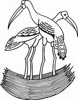Coloring Ecosystem Bociany Storks Druku Kolorowanki Stork Bocian  sketch template