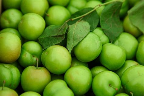 Free Photo | Green cherry plums with green leaves background