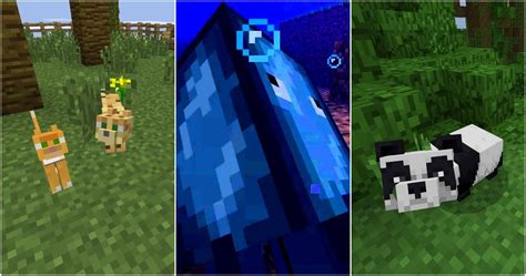 Minecraft: The 15 Cutest Mobs, Ranked