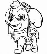 Paw Patrol Coloring Pages Free Printables sketch template
