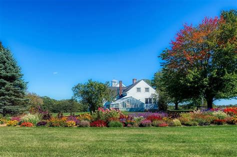 21 Kentucky Native Plants for Landscaping