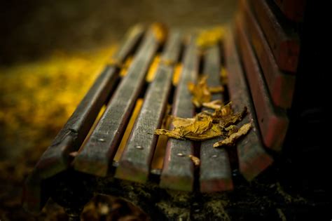 Brown wooden bench, bench, fall, leaves HD wallpaper | Wallpaper Flare