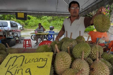 Your next Musang King durian could soon come with a Sirim certification