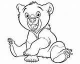 Bear Cub Coloring Page Pages At Getdrawings  sketch template