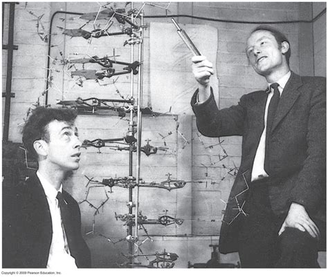 February 28th 1953: Watson and Crick discover DNA...