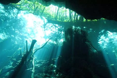 What is a cenote and how is it formed - SUMMARY and PHOTOS