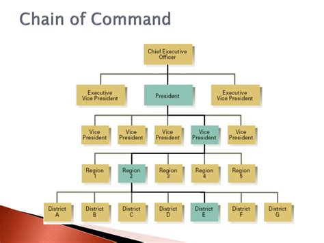 Nursing Chain Of Command Chart