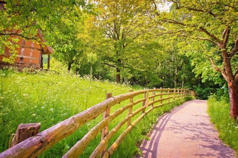 a wooden bridge over a lush green field