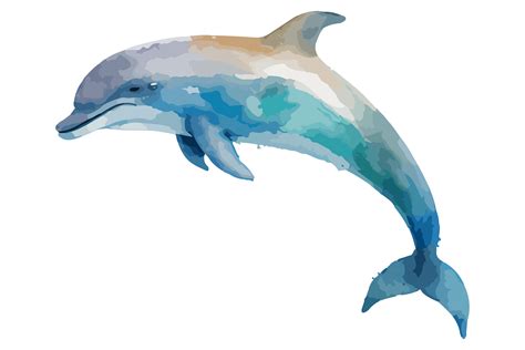 Watercolor Dolphin Vector Illustration Graphic by BreakingDots ...