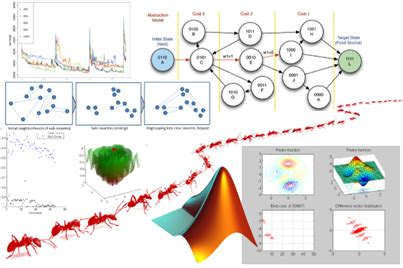 Training on Swarm Intelligence for Optimization