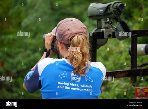 Symonds yat rock peregrine falcons hi-res stock photography and images ...