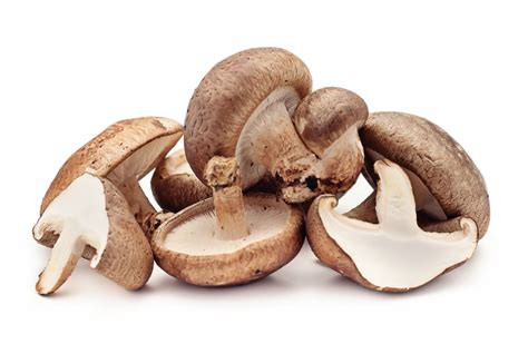 Shiitake mushrooms may hold cure for pneumonia and sepsis