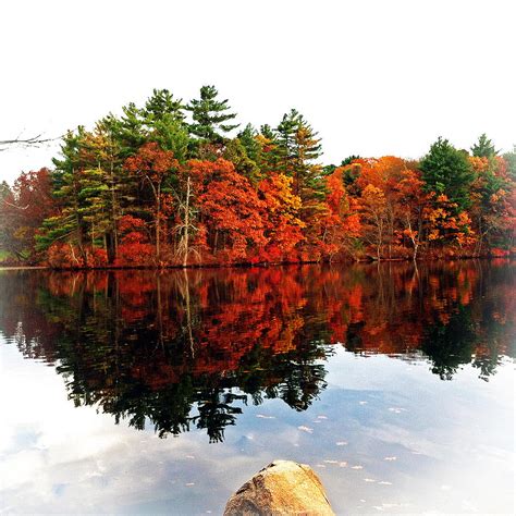 Autumn's Lake Reflection Photograph by Michelle Hoshino - Fine Art America