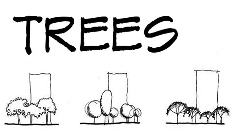 Trees For Architecture Sketches - Architecture Daily Sketches - YouTube