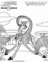 Madagascar  Giraffe Melman coloring page sketch template