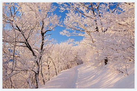 Korea winter landscape | Winter scenery, Winter pictures, Winter landscape