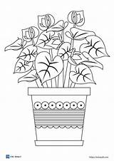 20 Free Printable plant coloring Pages  ESL Vault sketch template