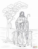 Jesus Is Our Shepherd coloring Page  Free Printable Coloring Pages sketch template
