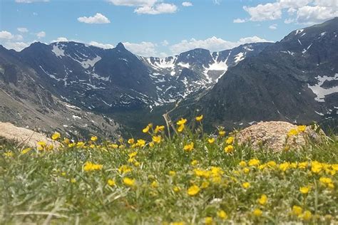 Rocky Mountain National Park Small-Group Tour From Denver 2024