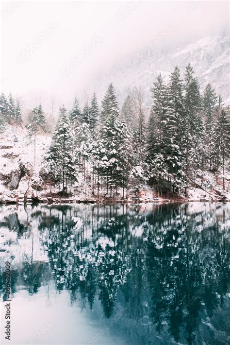 Turquoise color lake in Switzerland Stock Photo | Adobe Stock