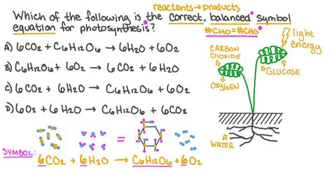 How To Remember Photosynthesis And Cellular Respiration Equation ...