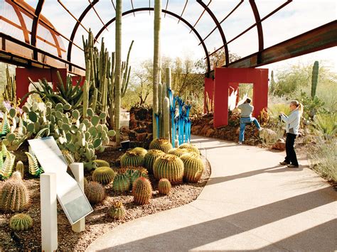 Botanical Garden In Phoenix Arizona | Fasci Garden