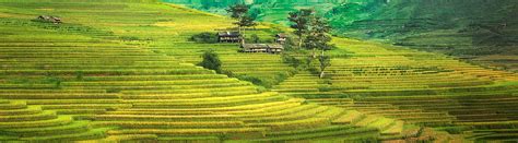 HD wallpaper: landscape, rice fields, asia, yen bai, vietnam, mu cang chai | Wallpaper Flare