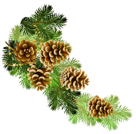 Holly clipart boughs, Picture #1348883 holly clipart boughs