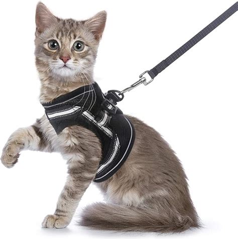 rabbitgoo Cat Harness and Leash Set for Walking Escape Proof, Adjustable Soft Kittens Vest with ...