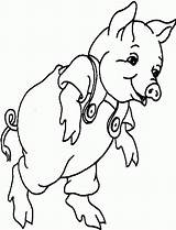 Cute Pig Coloring Pages Sketch Page sketch template