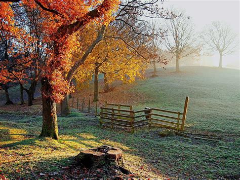 Autumn in countryside, autumn, fence, countryside, fall, bonito, mist ...