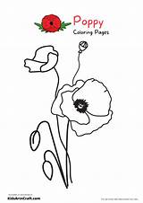 Poppy Coloring Pages For Kids – Free Printables  Art & Craft sketch template