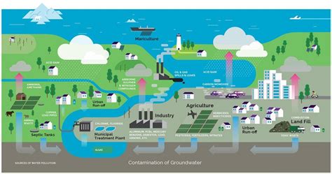 Health Effects of Drinking Polluted Water