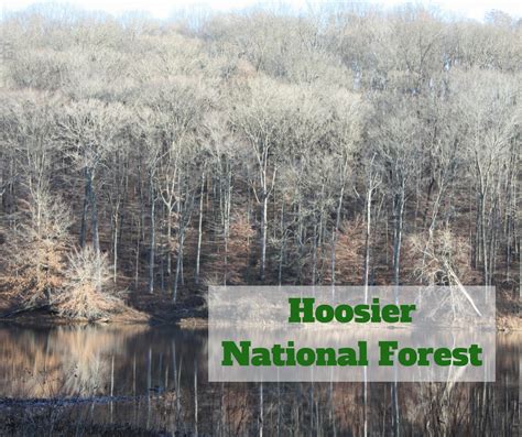 A Little Time and a Keyboard: A Taste of Hoosier National Forest