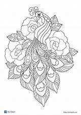 Printable Peacock Coloring Pages sketch template