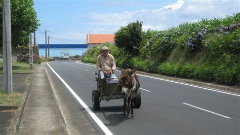 Azorean Culture - Study Portuguese In The AzoresStudy Portuguese In The Azores