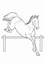 Horse Coloring Pages Jumping & coloring Book 6000  sketch template