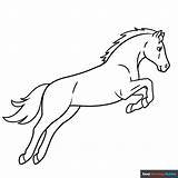 Jumping Horse Coloring Page  Easy Drawing Guides sketch template