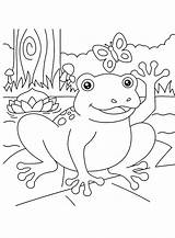 80 Frog Coloring Pages  ColoringPagesOnlycom sketch template