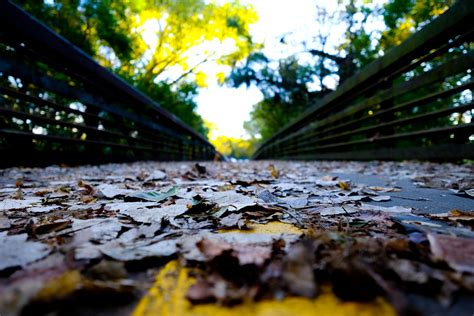 White Rock Lake Trail | White Rock Lake, Dallas, Texas | Flickr