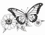 Beautiful Butterfly Adult Coloring Pages sketch template