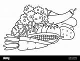 Vegetables Coloring Book Pages sketch template