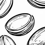 Mustard Seed Coloring Pages  Free & Printable sketch template